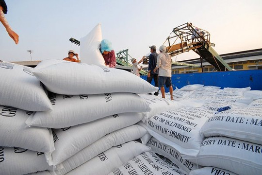 Giá gạo tăng quá nhanh, cần quy định giá sàn xuất khẩu