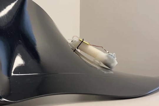 Robot 'sâu đo' giúp kiểm tra động cơ máy bay