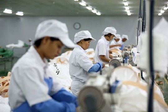 Cảnh báo lừa đảo lao động đi làm việc tại Hàn Quốc