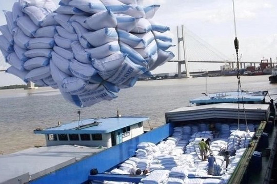 Xuất khẩu gạo Việt Nam sang nhiều nước tăng đột biến