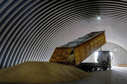 Ba Lan gia hạn lệnh cấm ngũ cốc Ukraine