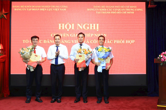 Đảng bộ Tổng công ty Điện lực miền Nam chính thức trực thuộc Đảng ủy Tập đoàn Điện lực Việt Nam