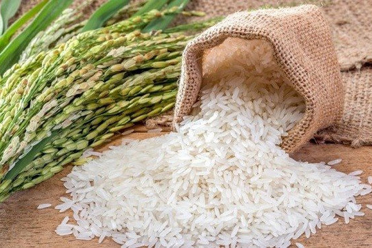 Giá gạo xuất khẩu của Việt Nam bắt đầu 'hạ nhiệt'