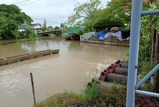 Khoảng 20.000ha lúa ở Cà Mau bị ngập úng do mưa lớn kéo dài