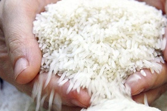 Nhiều nước tăng mua, gạo Việt Nam đắt hàng