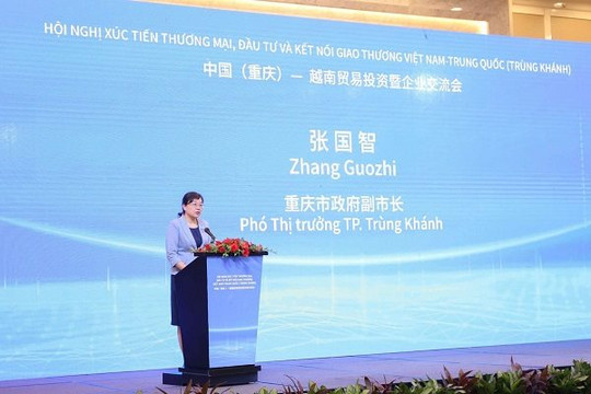 Trùng Khánh muốn Việt Nam cùng xây dựng 'Tuyến đường mới trên bộ trên biển'