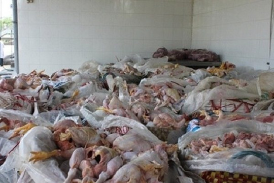 Hàng chục nghìn tấn gà thải loại tuồn vào Việt Nam mỗi tháng