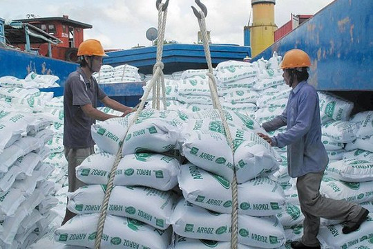 Giá gạo chạm đỉnh lịch sử, TP.HCM có nhiều thương nhân xuất khẩu nhất