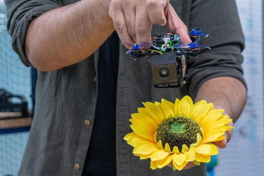 Ý tưởng nhỏ vĩ đại: Làm robot thay côn trùng cứu Trái đất và loài người