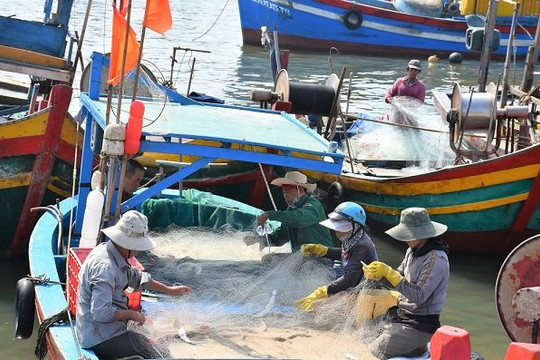 Vì sao Việt Nam khó gỡ 'thẻ vàng' thủy sản?