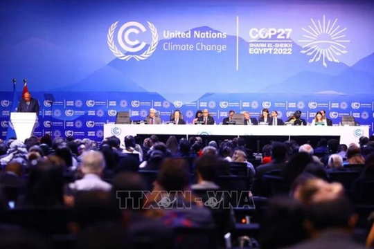 Việt Nam tham gia hàng loạt sáng kiến ứng phó biến đổi khí hậu tại COP28