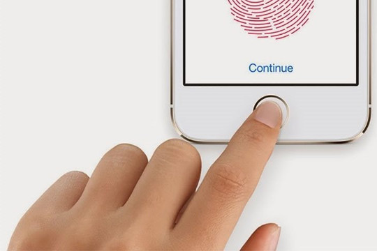 Giám đốc đứng sau công nghệ màn hình iPhone và Touch ID rời Apple