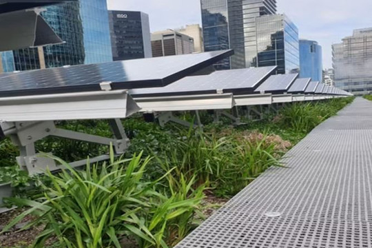 Mái nhà kết hợp pin mặt trời và cây xanh tạo hiệu ứng khó tin