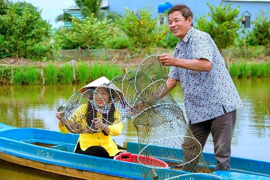 Festival tôm Cà Mau – Nâng tầm thương hiệu Việt