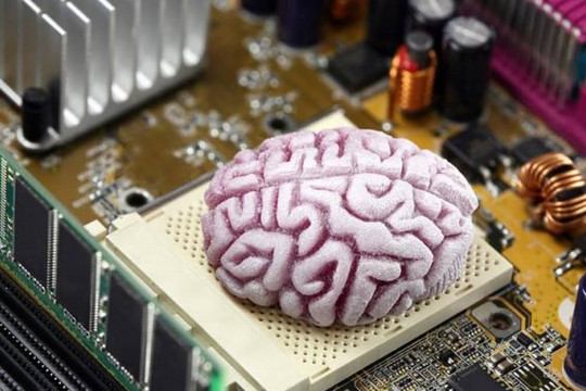 Dùng mô não người để tạo ra siêu máy tính mạnh hơn hàng triệu lần hiện nay