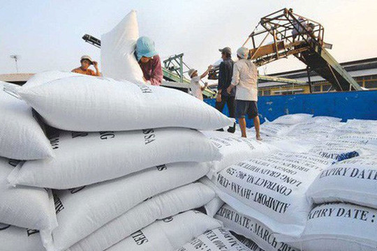 Việt Nam sẽ đắt hàng xuất khẩu gạo năm 2024