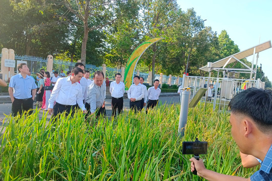 Giảm phát thải trong nông nghiệp - Bài cuối: Việt Nam phấn đấu xây dựng nền nông nghiệp xanh