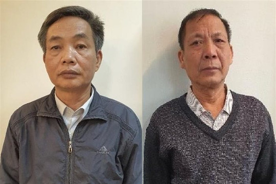 Khởi tố 2 thành viên HĐTV Tổng công ty Chè Việt Nam