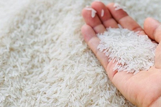 Gạo Việt là mặt hàng quan trọng nhằm đảm bảo an ninh lương thực cho Philippines