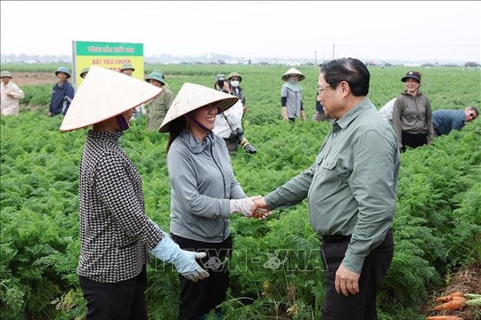 Đầu năm mới, Thủ tướng Phạm Minh Chính xuống đồng cùng nông dân