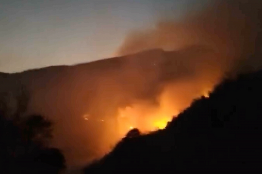 25ha rừng bị cháy tại Vườn quốc gia Hoàng Liên, chưa đánh giá được thiệt hại