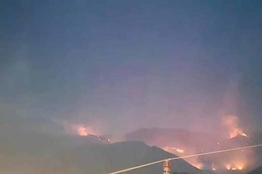 Cháy lớn tại Vườn quốc gia Hoàng Liên: Huy động hơn 400 người dập lửa