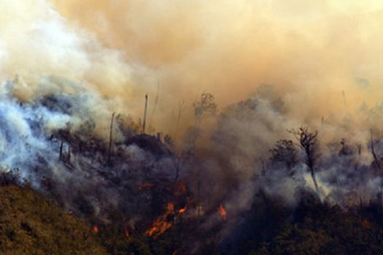 Cháy rừng ở Vườn quốc gia Hoàng Liên đã lan rộng ra 30ha
