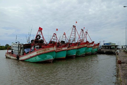 Cà Mau: Thu hồi giấy phép hoạt động 7 tàu cá vi phạm