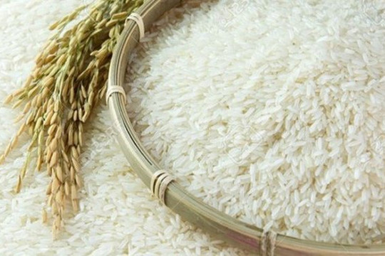 Giá gạo xuất khẩu Việt Nam đột ngột giảm mạnh, mất vị trí cao nhất thế giới