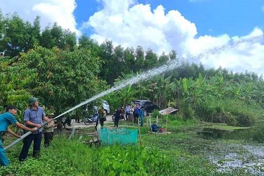 Cà Mau: Hơn 21.000ha rừng bị khô hạn