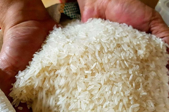 Indonesia cần nhập thêm 1,6 triệu tấn gạo: Cơ hội vàng cho Việt Nam