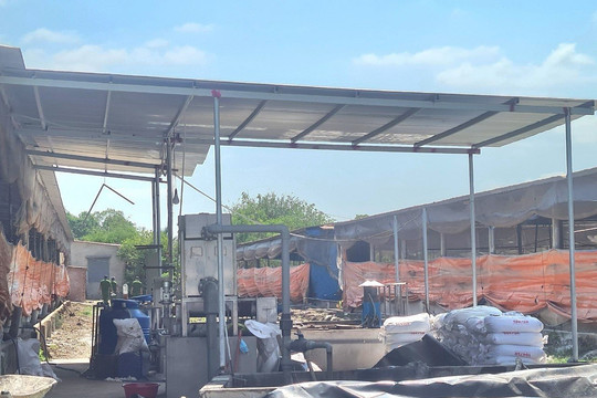 Đồng Nai: 3 người tử vong do ngạt khí hầm biogas