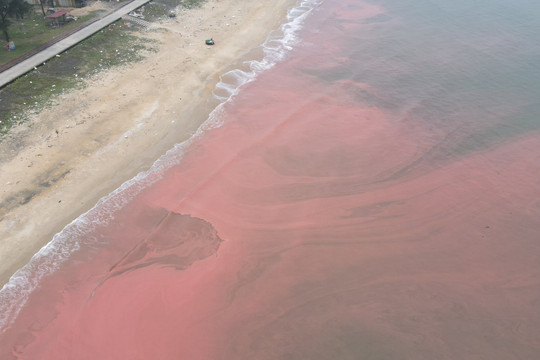 Xuất hiện dải nước biển màu đỏ sẫm dài 3km ở Hà Tĩnh