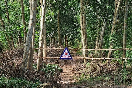 Gần 9.000ha rừng ở Cà Mau cảnh báo cháy cấp cực kỳ nguy hiểm
