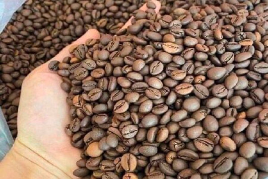 Giá cà phê cao kỷ lục, mục tiêu xuất khẩu đạt 5 tỉ USD không khó