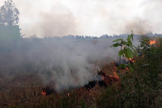 Bạc Liêu: Người đàn ông tử vong do ngạt khói khi đốt rơm ngoài đồng