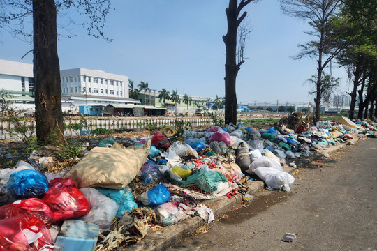 TP.HCM vận động người dân không xả rác ra đường, kênh rạch