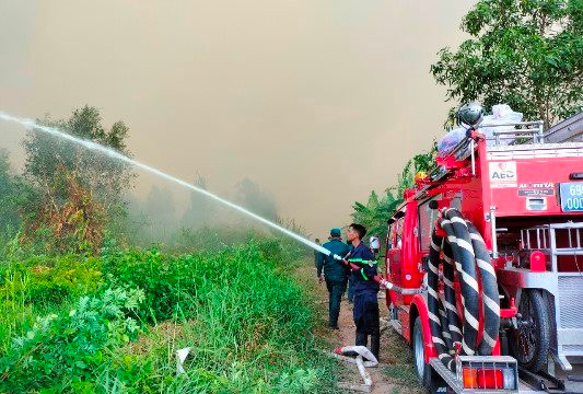 Vụ cháy 40ha rừng ở Cà Mau: Đã khống chế được đám cháy