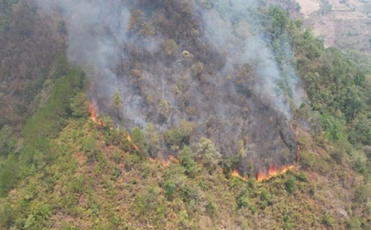Nắng nóng còn kéo dài, nguy cơ cháy rừng rất cao