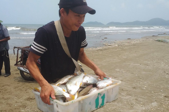 Ngư dân Hà Tĩnh trúng mẻ cá đù gần 100 triệu đồng