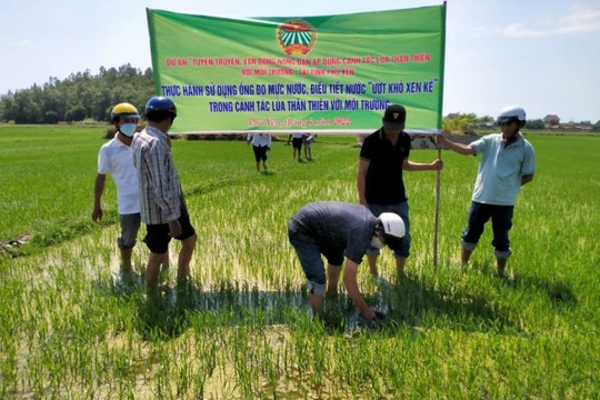Kỹ thuật giúp lúa sống chung với nắng hạn của Việt Nam được ca ngợi