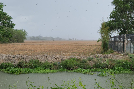 Nam Bộ bắt đầu mưa chuyển mùa
