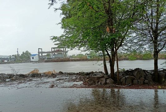 Miền Tây Nam Bộ đã có mưa sau đợt nắng hạn kéo dài