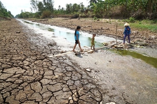 'Kỹ năng về khí hậu - Hạt giống cho chuyển đổi xanh' giúp thế hệ trẻ ứng phó với biển đổi khí hậu