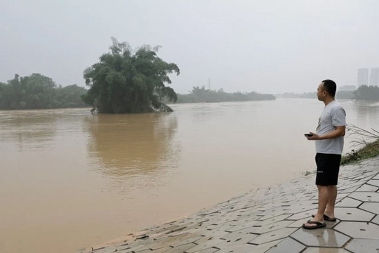 Mô hình AI có thể dự báo lũ lụt ở mọi con sông trên Trái đất với khả năng vượt trội