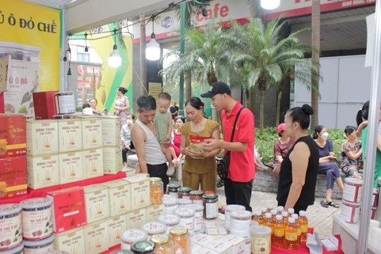 Hơn 500 loại sản phẩm OCOP chinh phục thị trường Hà Nội