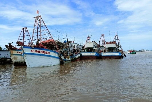 Cà Mau nỗ lực gỡ 'thẻ vàng' IUU