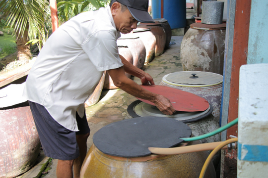 TP.HCM lưu ý người dân chủ động phòng bệnh sốt xuất huyết trong mùa mưa