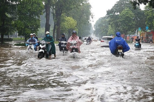 Hai thành phố lớn giải quyết tình trạng 'cứ mưa to là ngập úng'