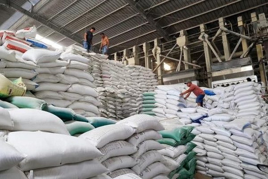 Xuất cấp hơn 1.000 tấn gạo hỗ trợ cho 5 tỉnh